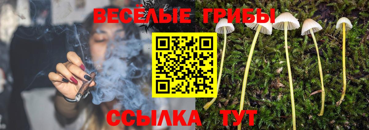 Псилоцибиновые грибы прущие грибы  Вход с VPN  Псилоцибиновые грибы мицелий  как найти закладки  Кубинка 